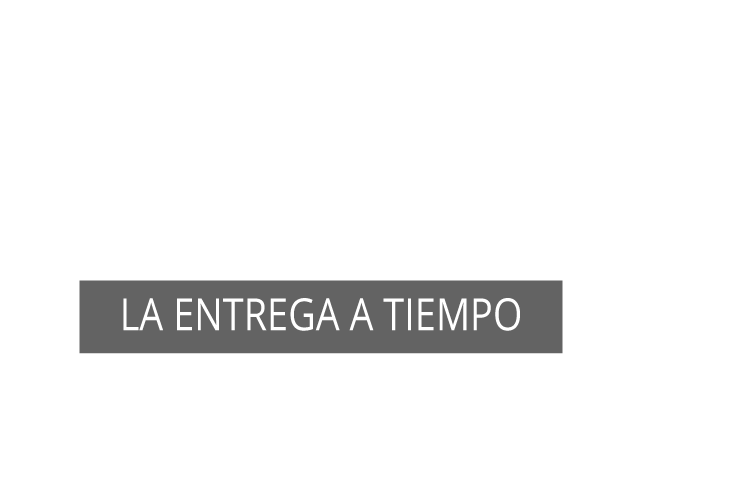 la entrega a tiempo vertyler